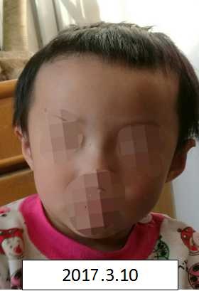 性感黑丝美女舔男生小鸡鸡视频hd免费观看
